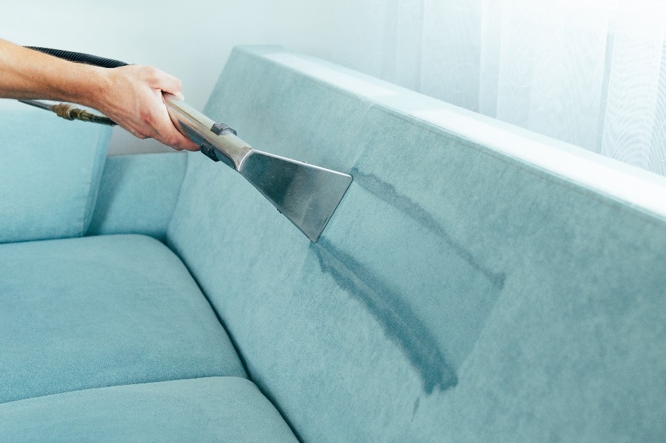 upholstery cleaning